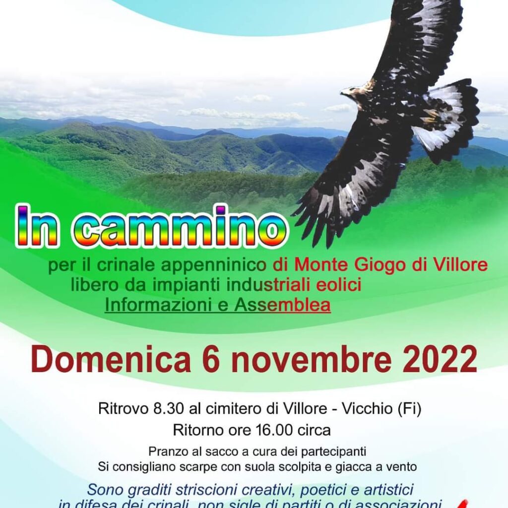 camminata 6 novembre