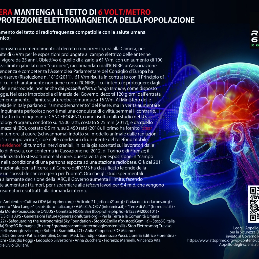 pubblicità Il Fatto Quotidiano 29 novembre 2023