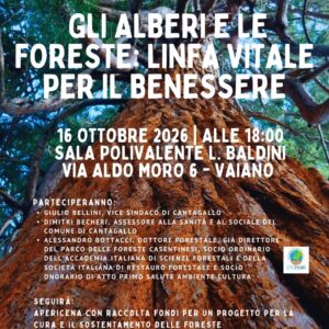 alberi e foreste 16 ottobre Vaiano